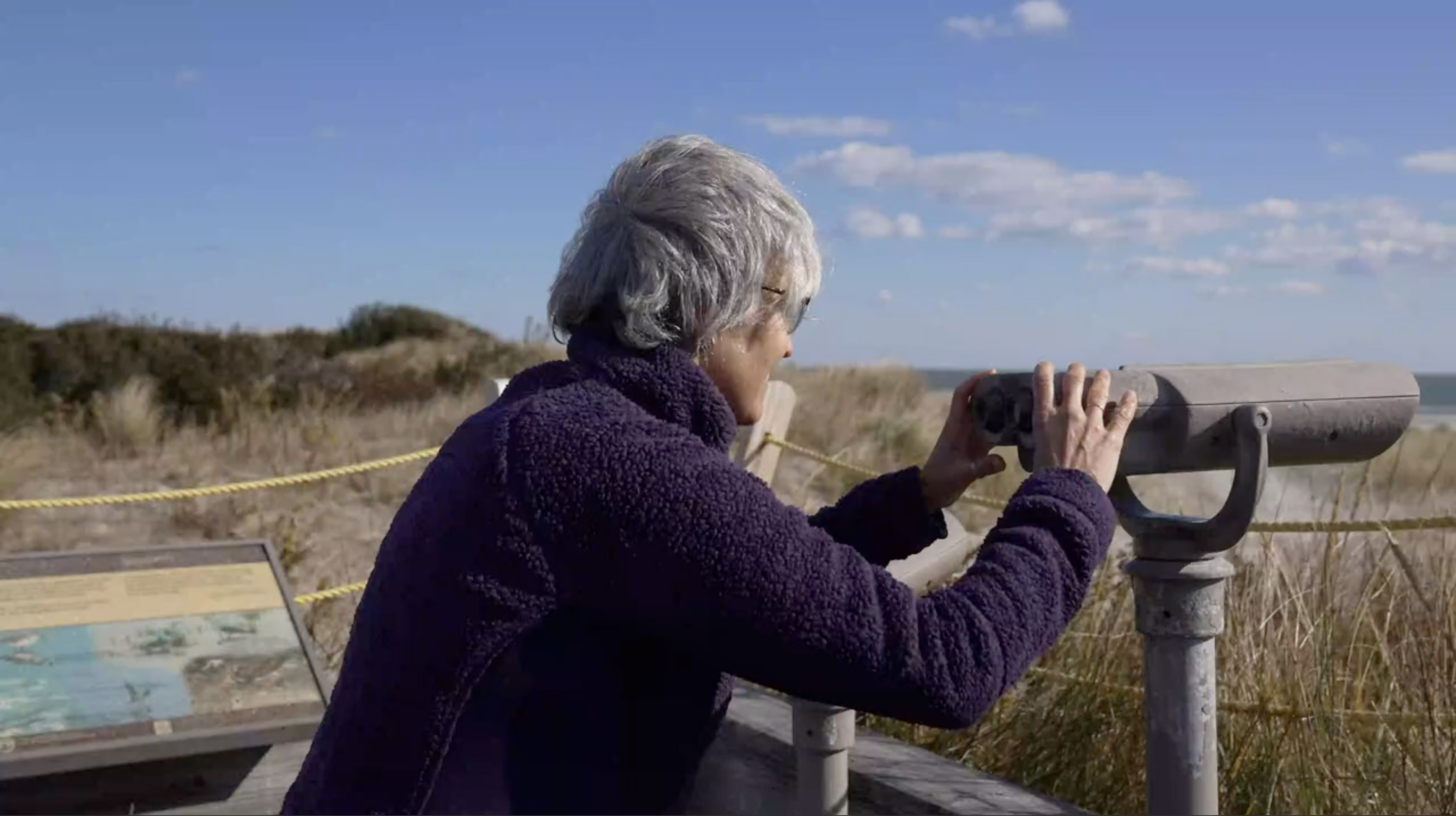 Birding in Cape May
